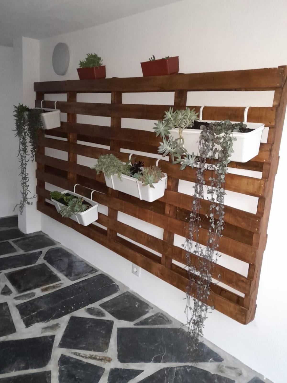 Casa De Baixo Studios Arouca Eksteriør bilde