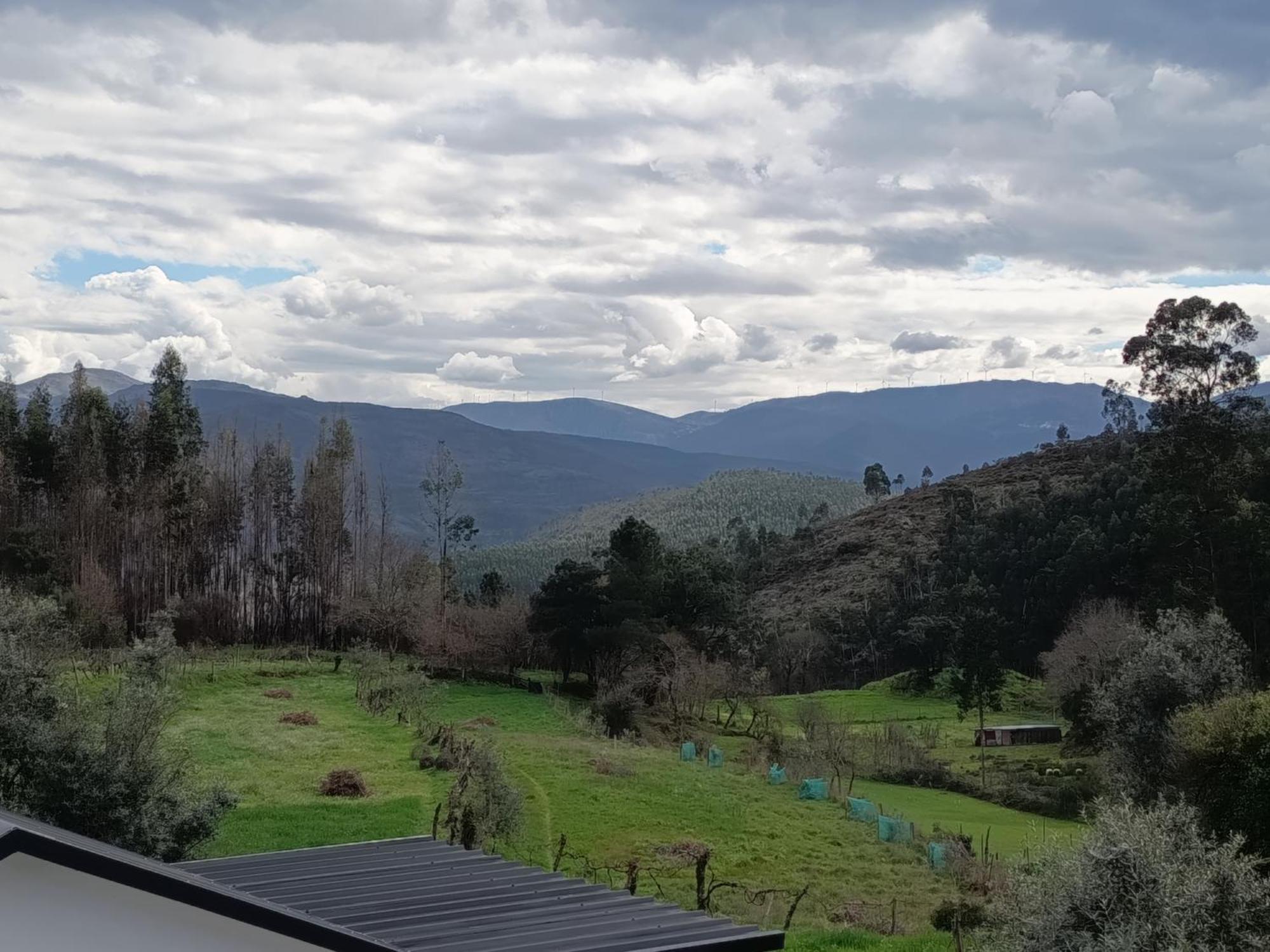 Casa De Baixo Studios Arouca Eksteriør bilde